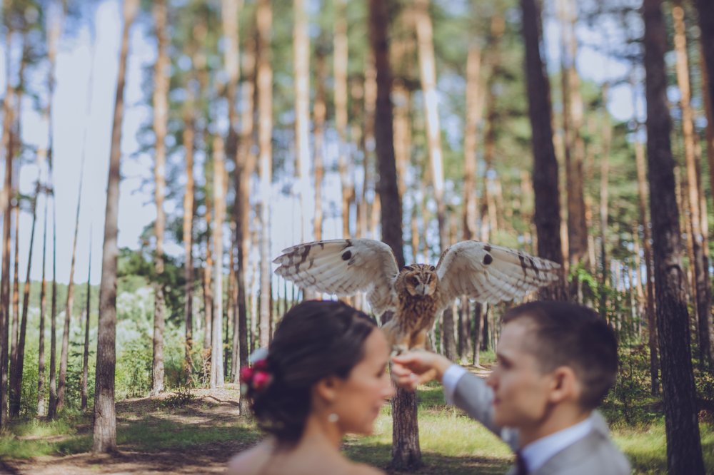 Фото: Евгений Лукьянов
Организация: Адмирал wedding